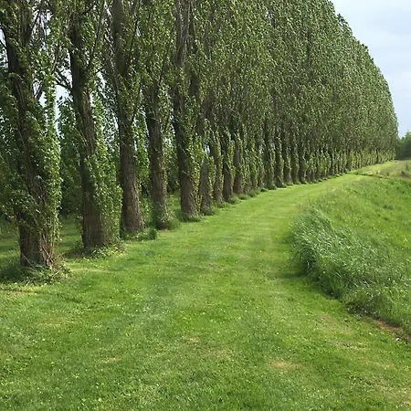 Apartman Maritime Penzlin Im Rittergut Leppersdorf *